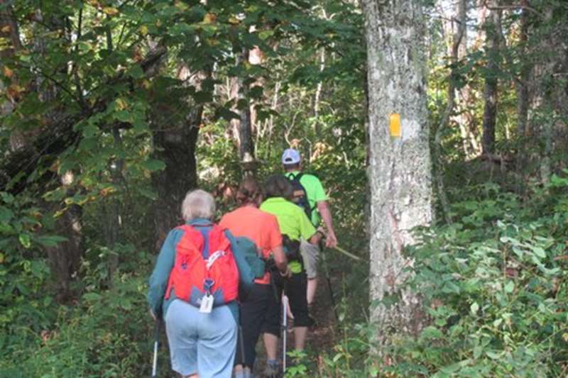 Headed up the Bartram Trail.