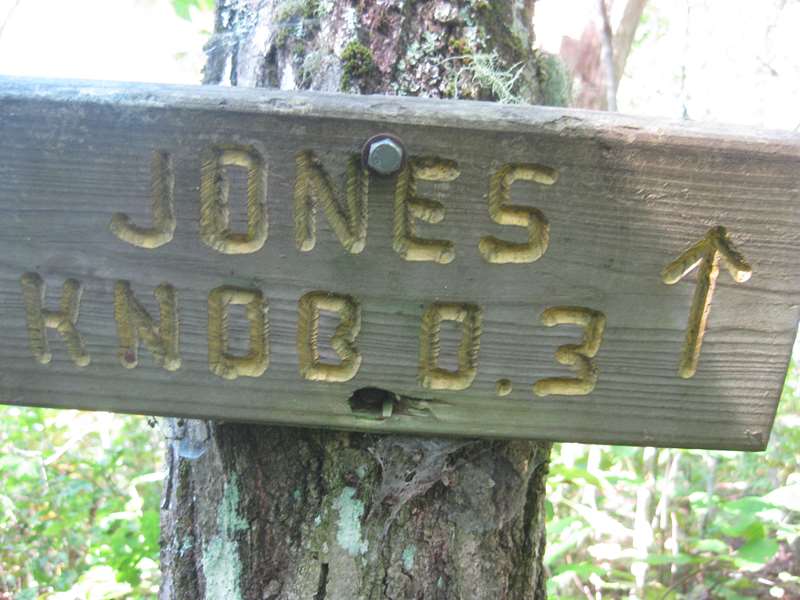 Our first side trail to Jones Knob
