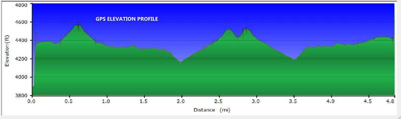 Today's elevation profile
