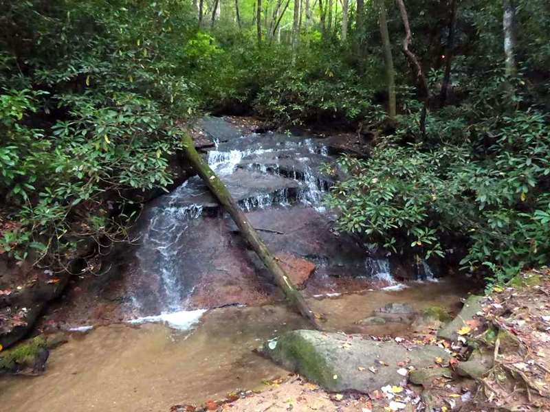 Next, we hike out on the lower James Edmonds Trail to this nice little waterfall.