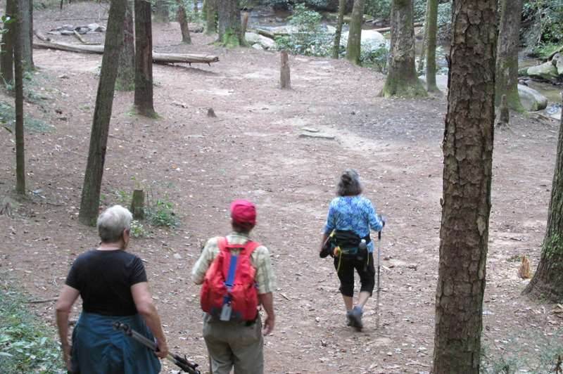 Here the trail comes close to Panther Creek and follows closely the rest of the way.