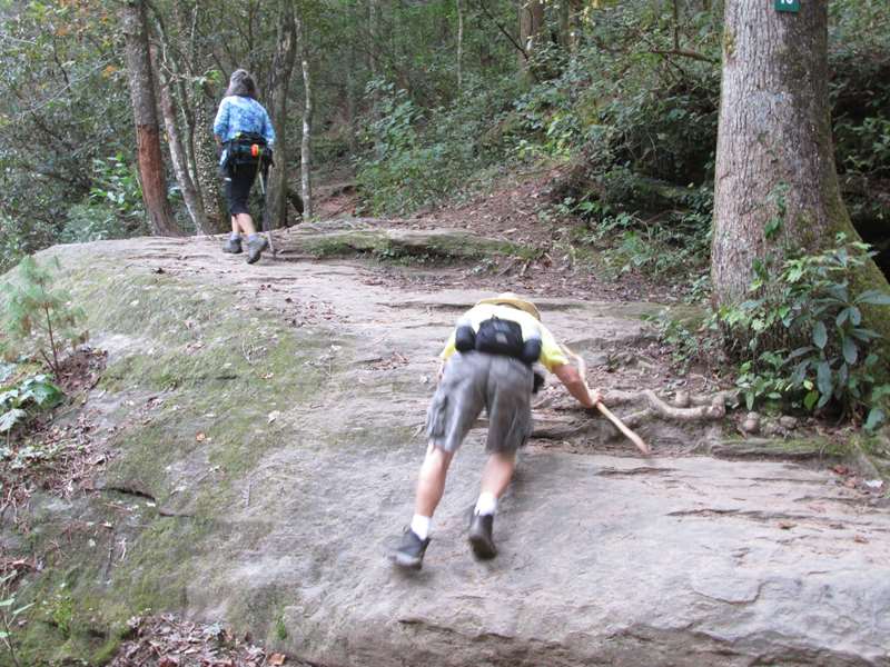 Travel on all fours when necessary!