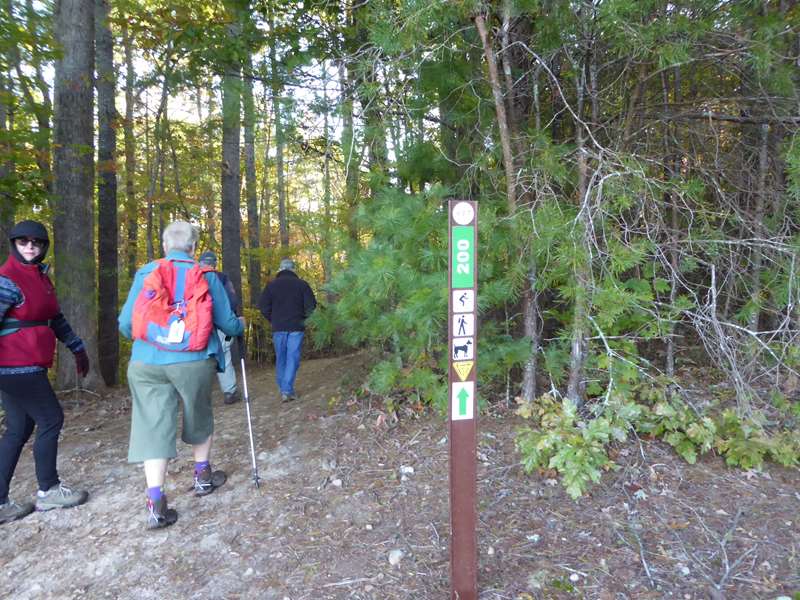 Beautiful woodland trails!