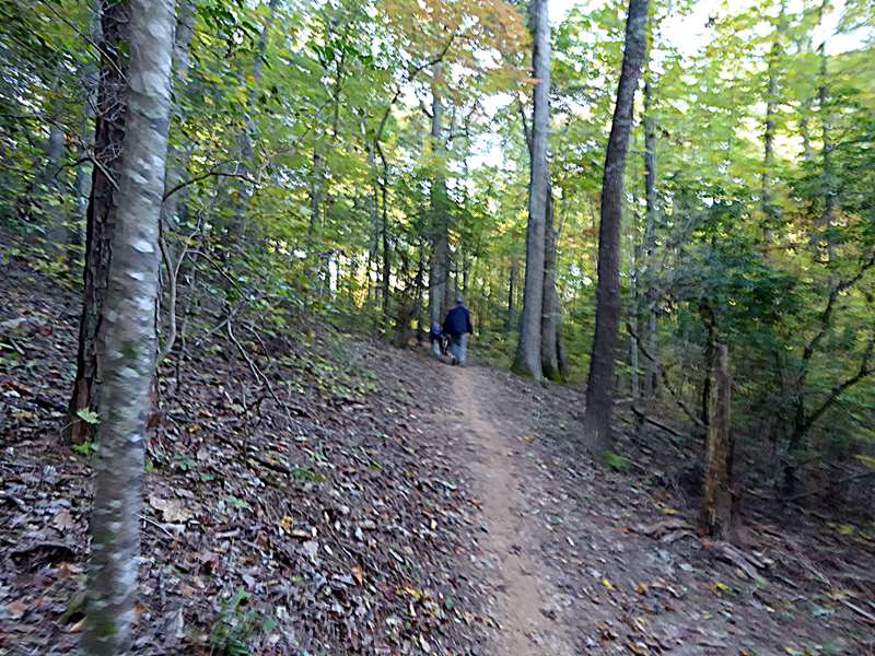 Easy to follow trails