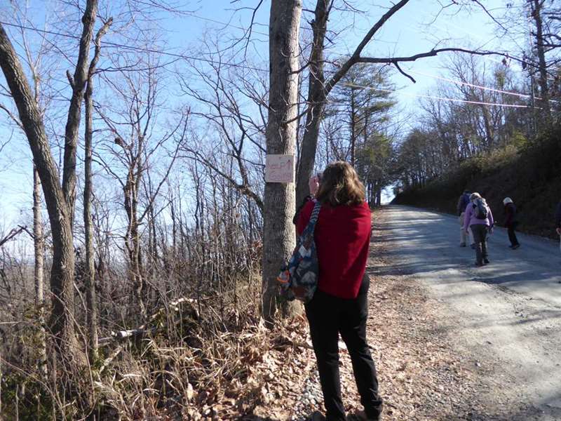 Back on the Sink Trail and steep climb up to the summit of Currahee!