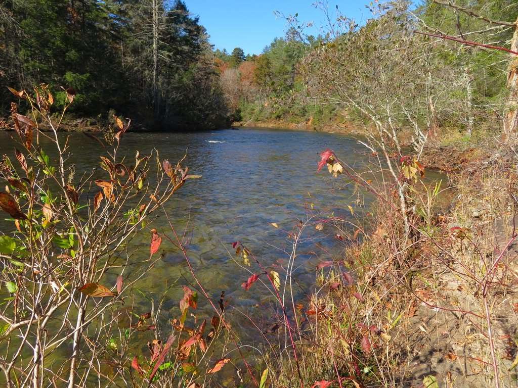 The Chattooga River at Adeline Ford