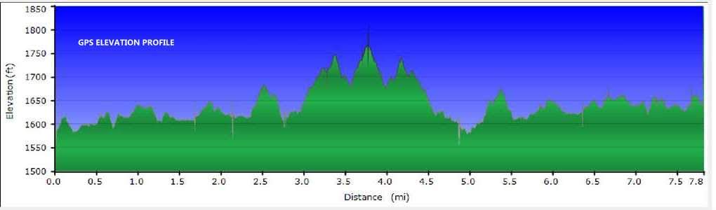Elevation Profile
