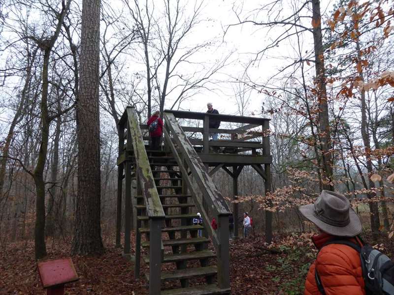 This is a wildlife observation deck overlooking a clearing.