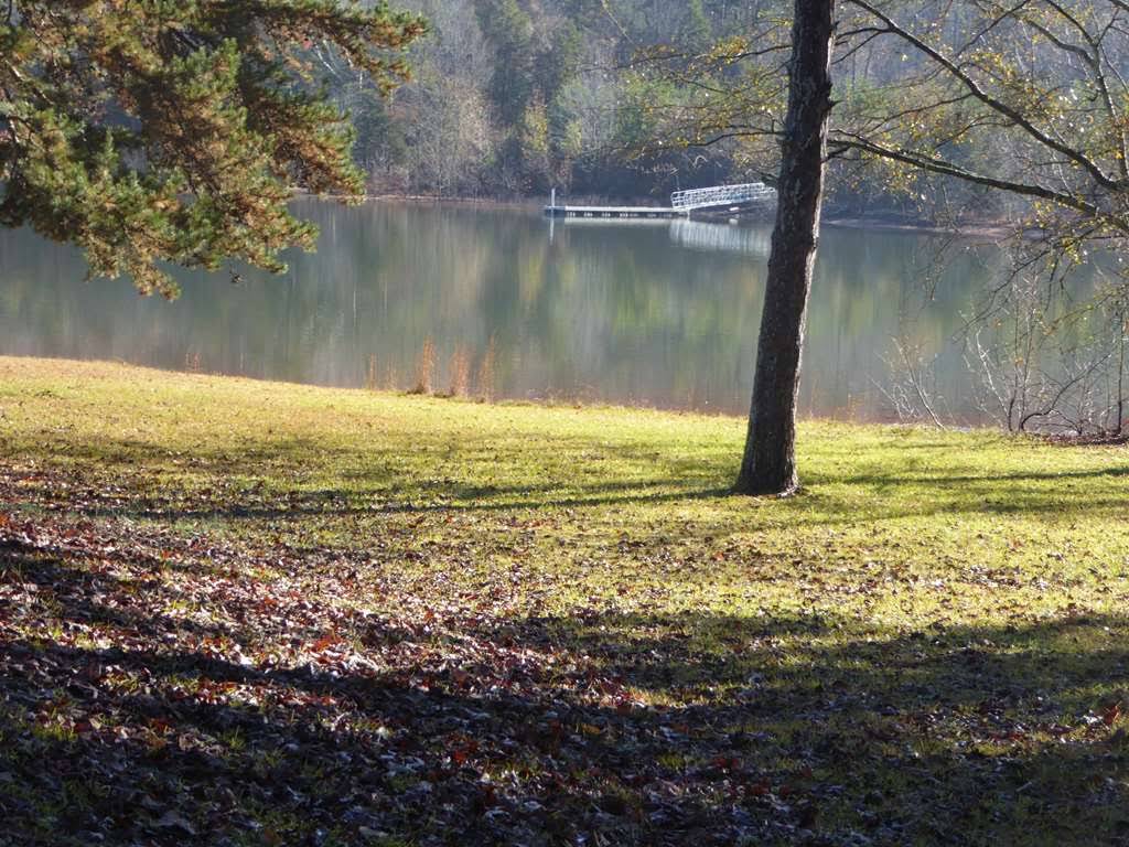 Along the shores of Lake Hartwell .