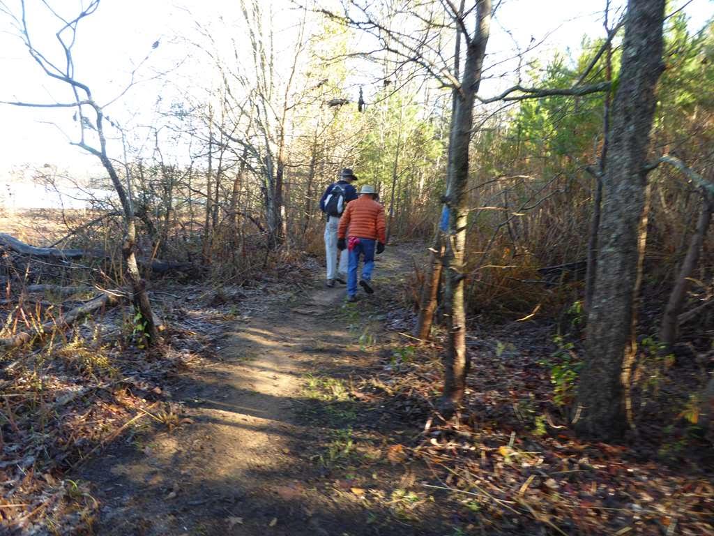 Most of the trail is woodland near the lakeshore..