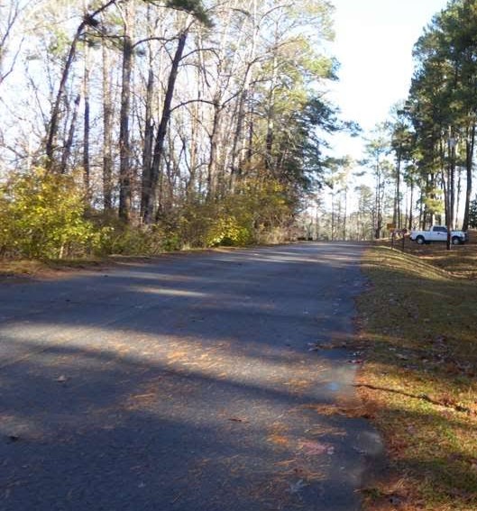 Asphalt trail portion