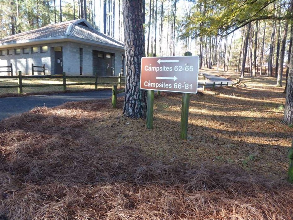 Lots of campsites available