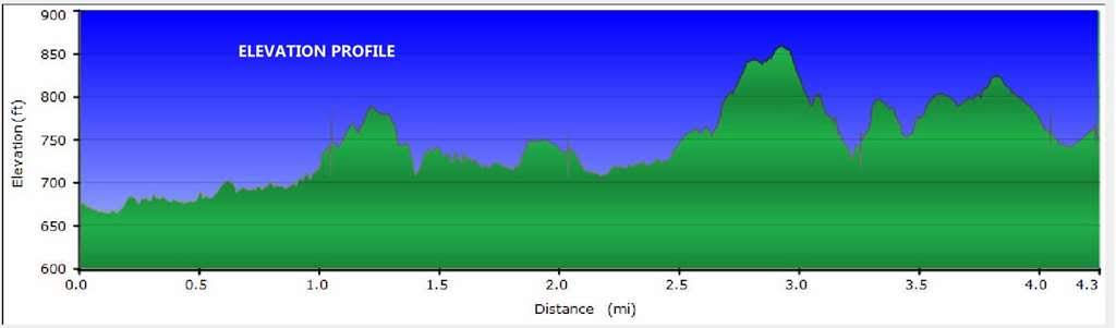 GPS Profile shows that we had some hills but it looks worse than it was.