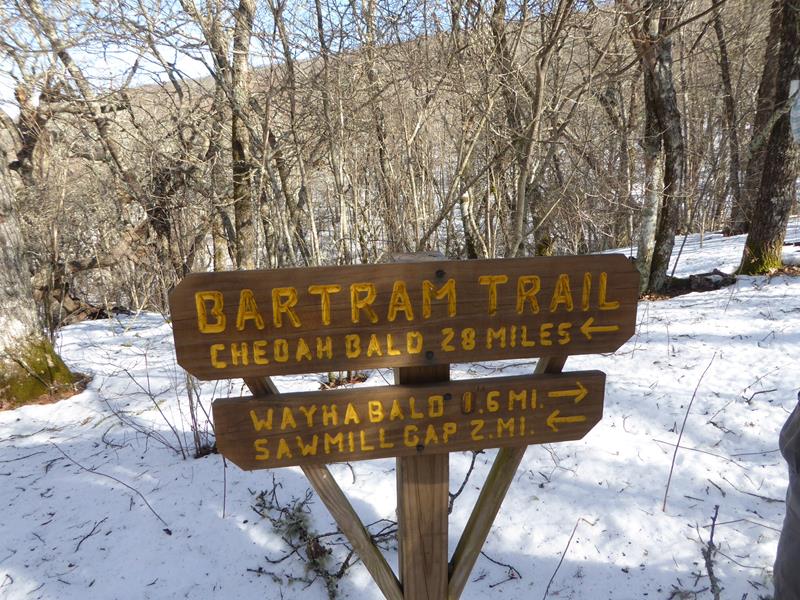 This is the intersection of the Bartram and Appalachian Trail.