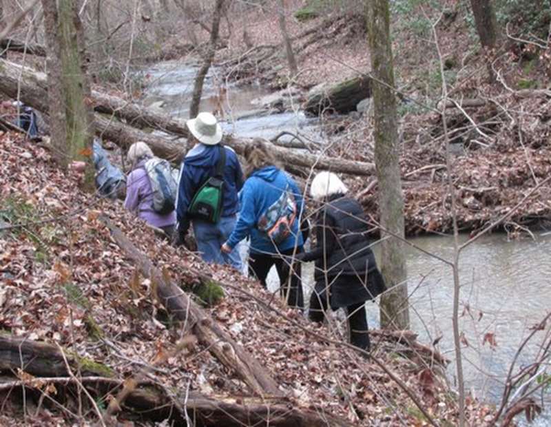 The trail along a steep bank is blocked by numerous downed trees.