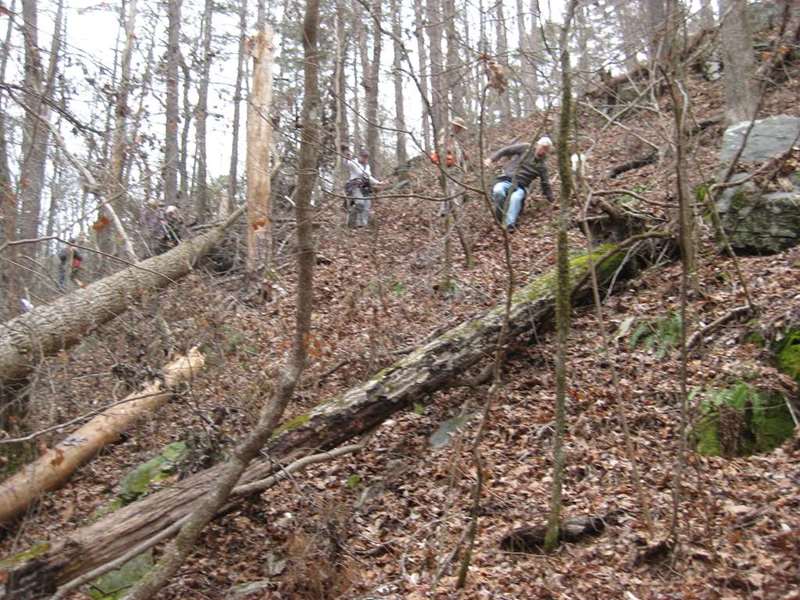 Scrambling around the trees on the steep banks was very challenging!