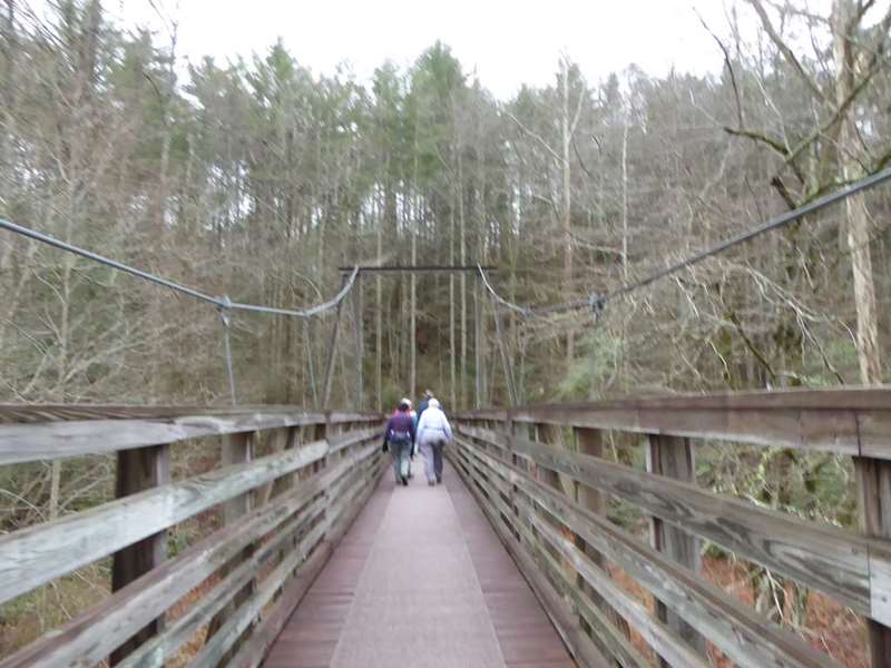 On the Shortline Trail crossing the river on the suspension bridge.
