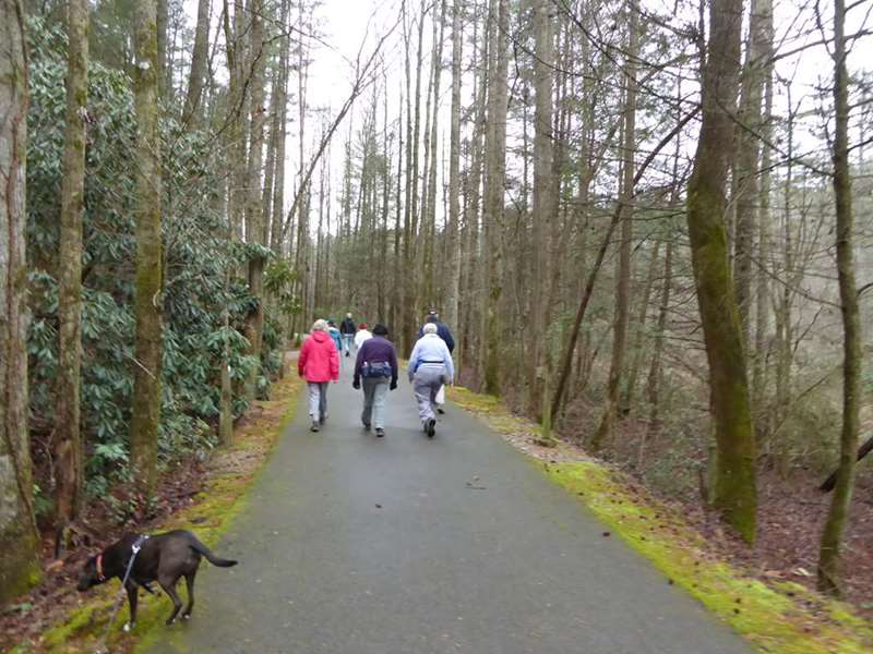 The Shortline Trail follows the path of the old Tallulah Falls Railroad.
