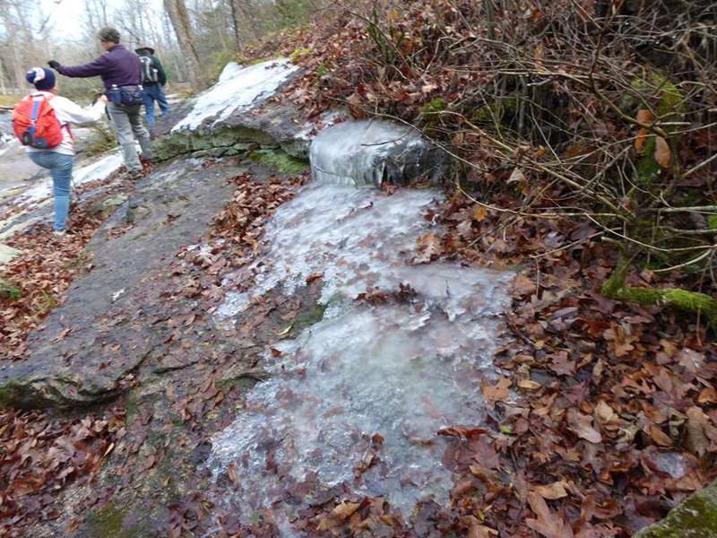 Ice on the trail left over from last week's Arctic blast!