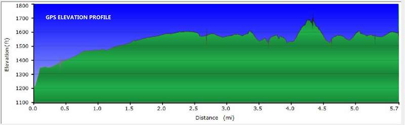 Our GPS Elevation Profile