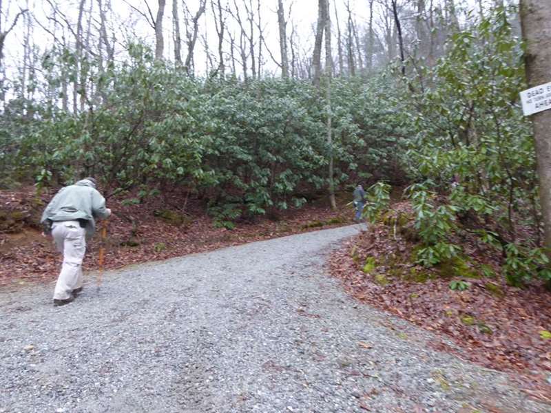 Walk the road a quarter mile or so and turn left at the access trail on the left marked with a green diamond.