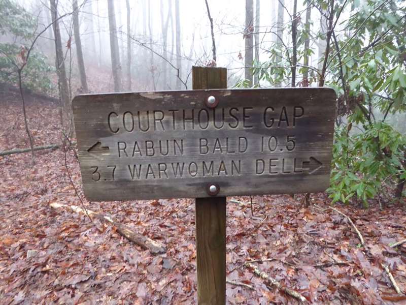 We intersect the Bartram Trail and turn right.