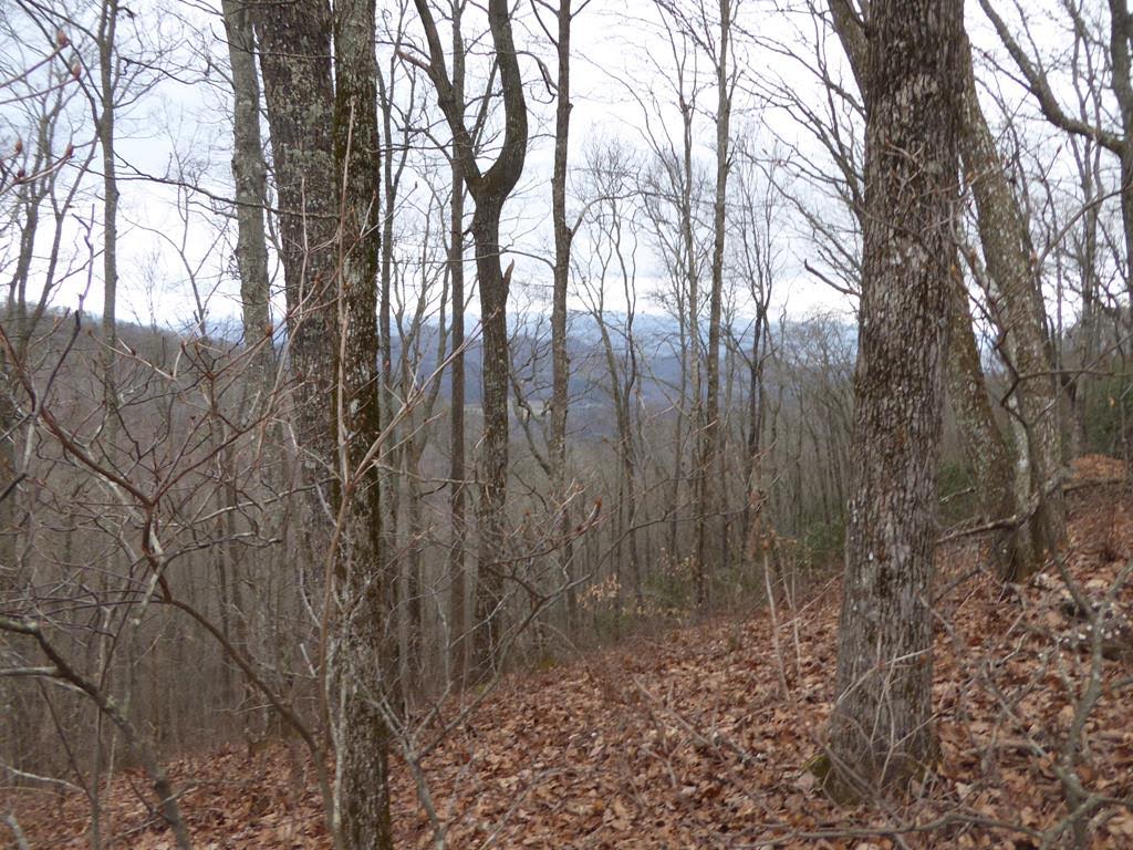 Another great day for a hike!