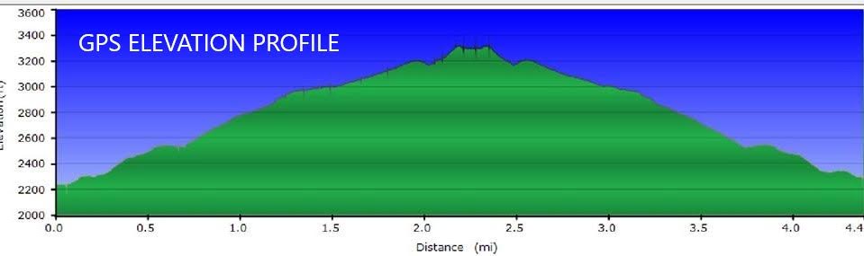 Our GPS Profile
