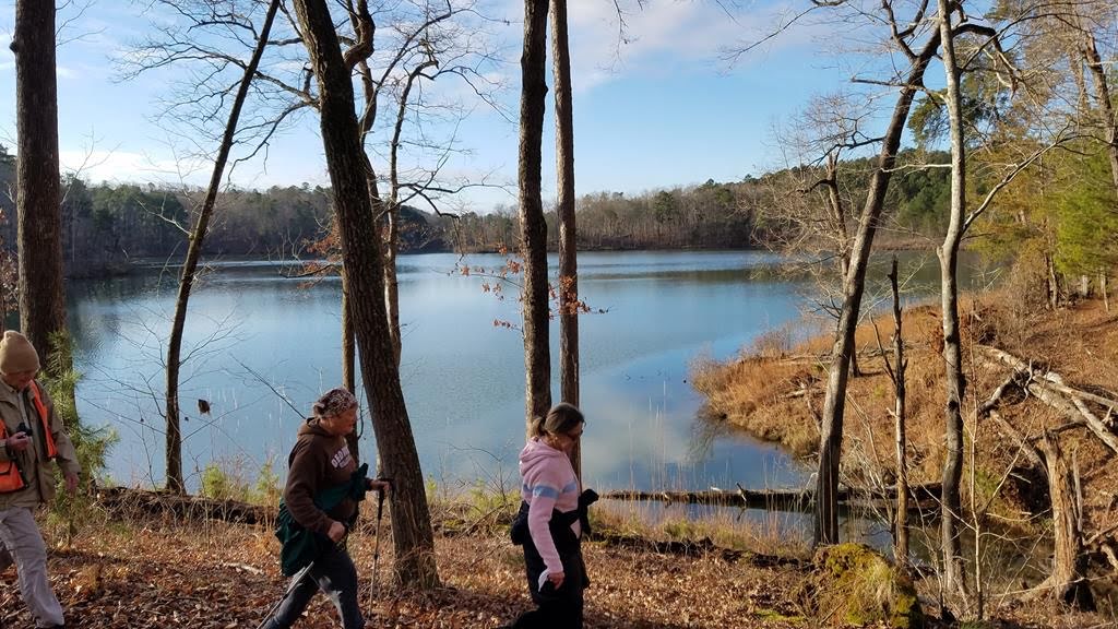 A nice loop hike along the lakeside at Lake Russell.