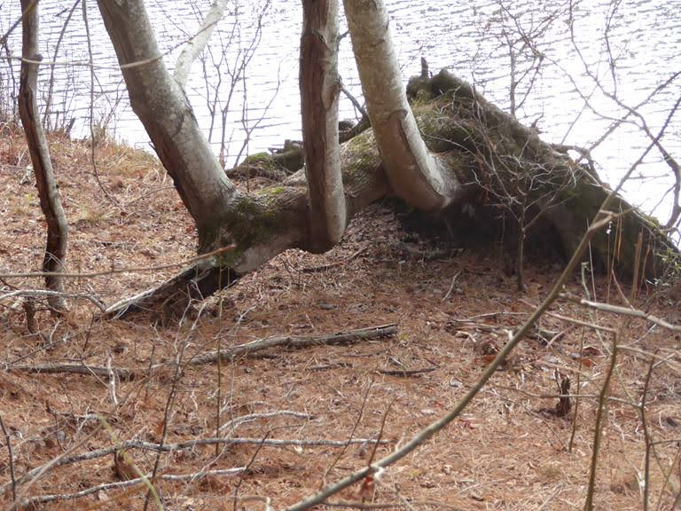 Mother nature can do some strange things!