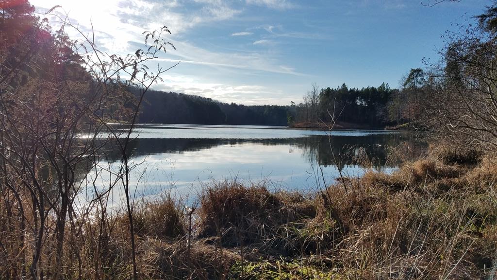 Beautiful Lake Russell!
