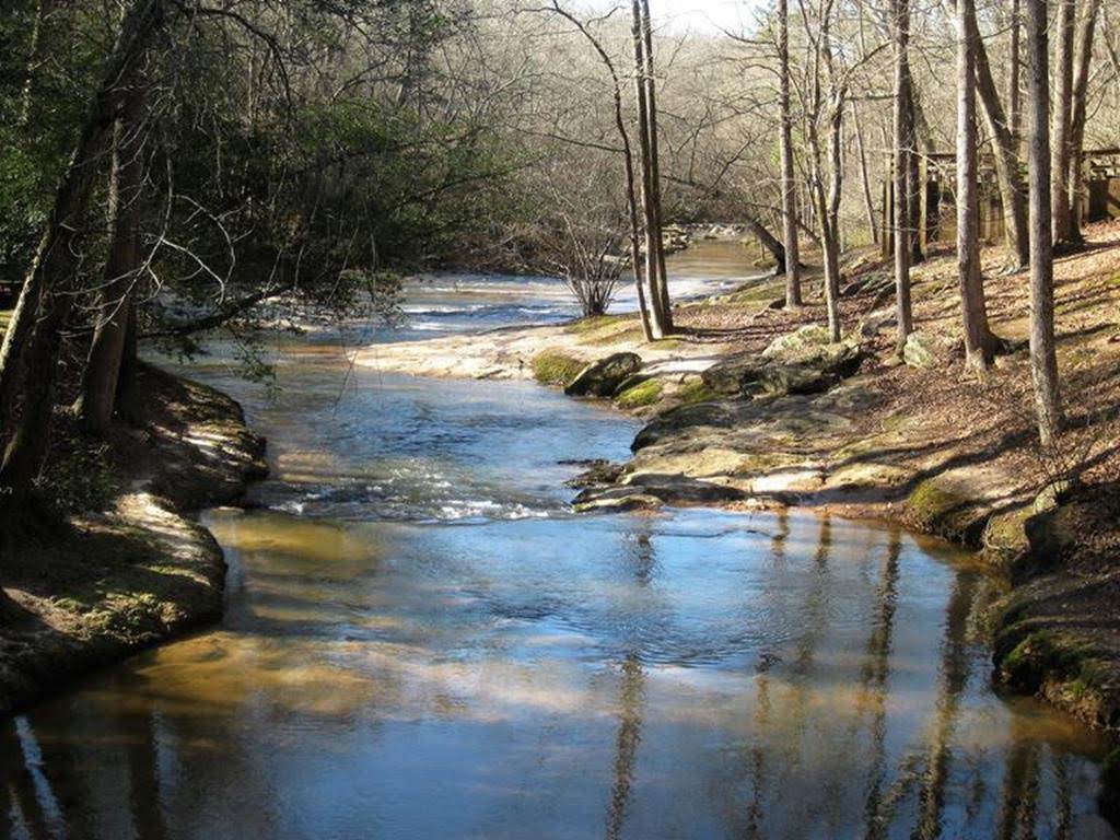 Beautiful view along the creek.