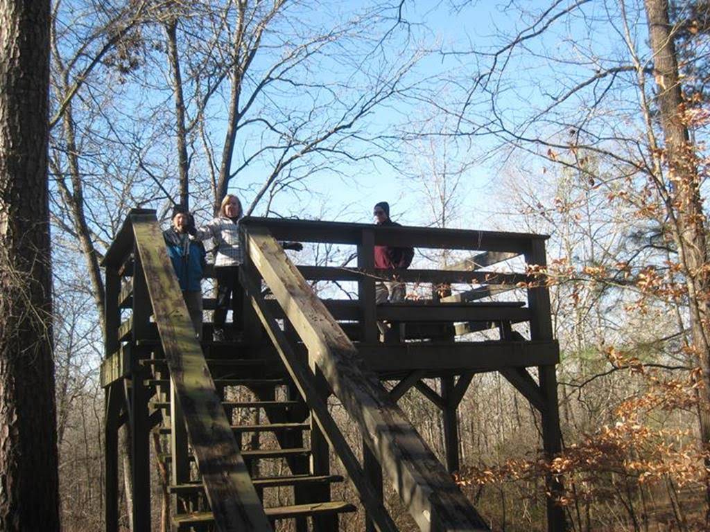 Wildlife viewing platform.