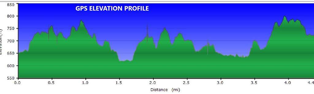 Our GPS Profile