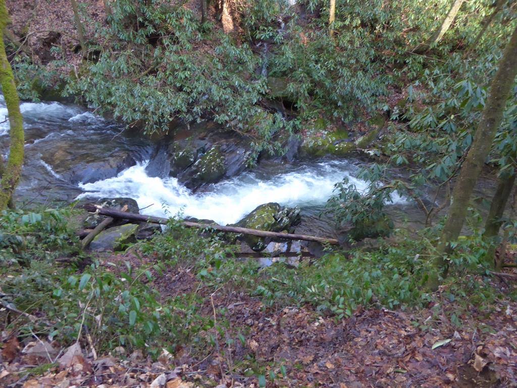 On the way to Hemlock Falls, we pass several small falls and rapids along Moccasin Creek.