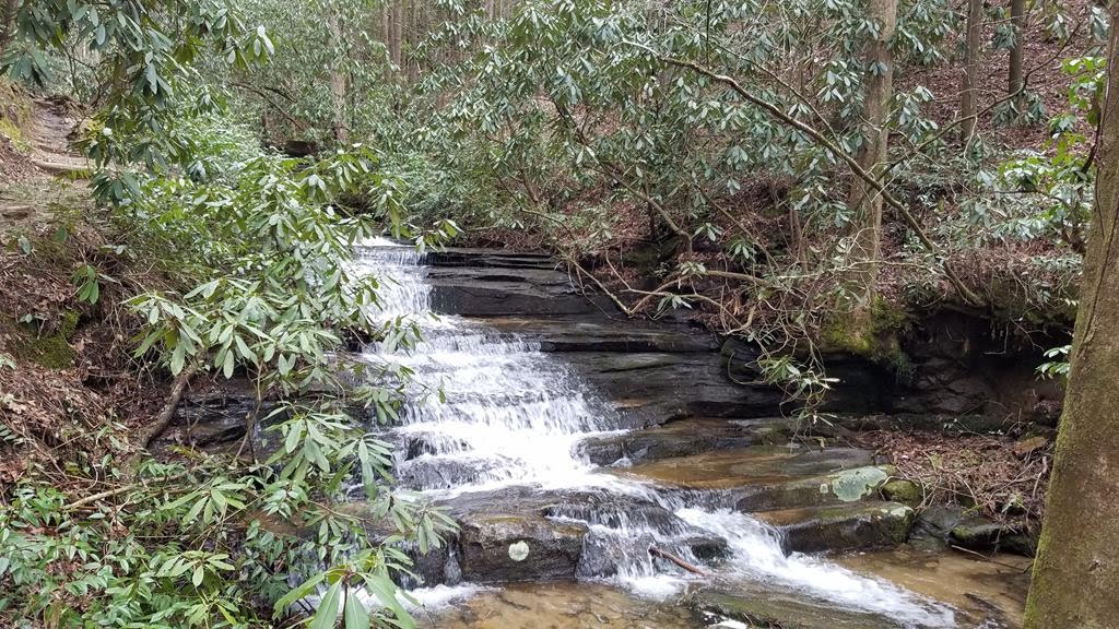 As we hike toward Panther Falls, we pass this nice cascading falls.