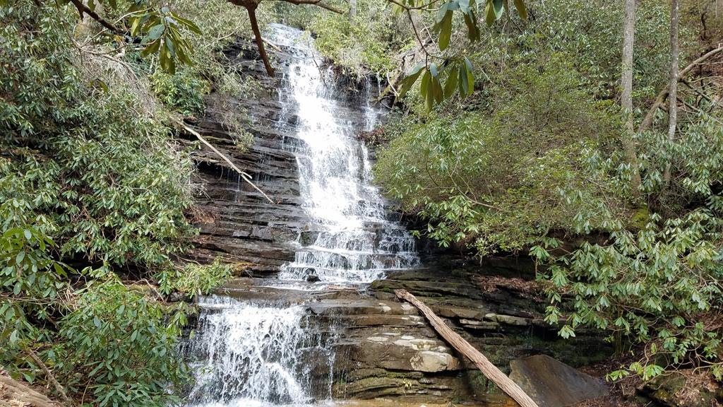 Beautiful Panther Falls!