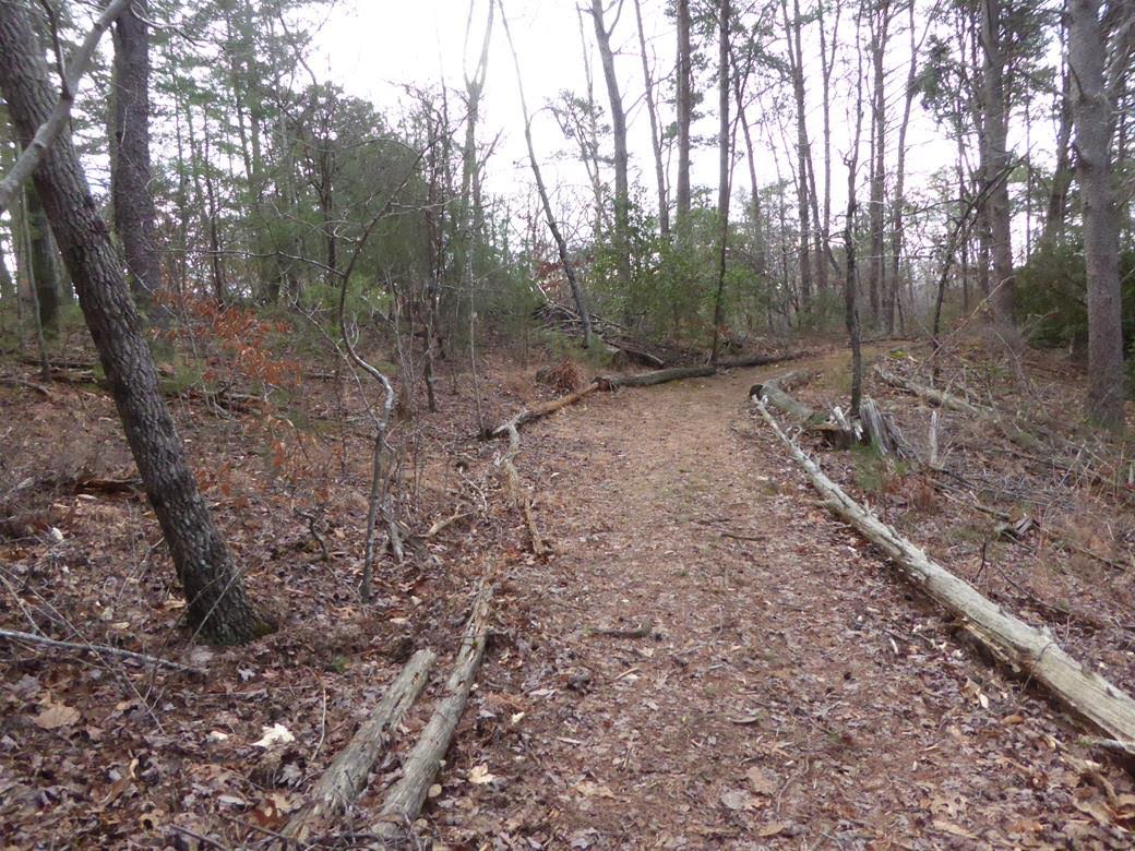 The trails are in excellent shape and easy to follow!