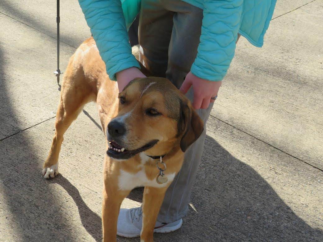 Buddy, the Caretakers dog hiked with us. He is very friendly and energetic! Also loves to be petted!