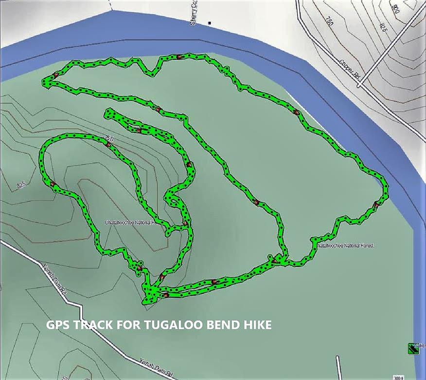 Our path at Tugaloo Bend.