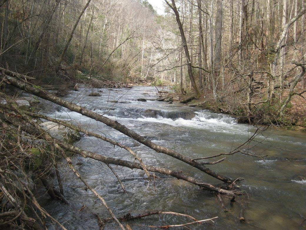 Beautiful Panther Creek flows into the Tugaloo River about a mile south of here.