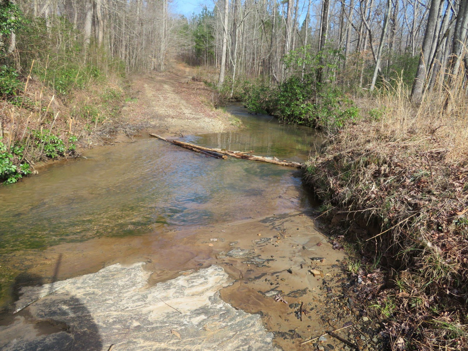 The creeks are full!!