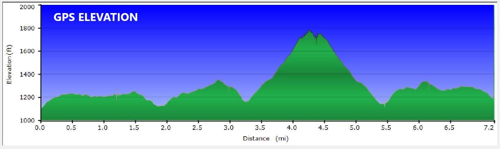 Elevation profile