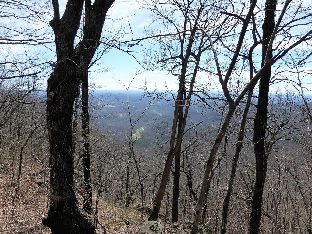 Another great day for a hike!