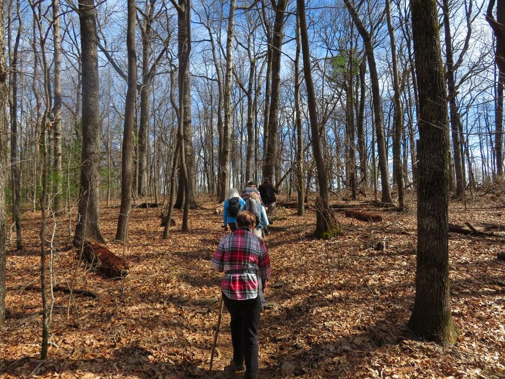 This portion of the A.T. is through a mountainous hardwood forest.