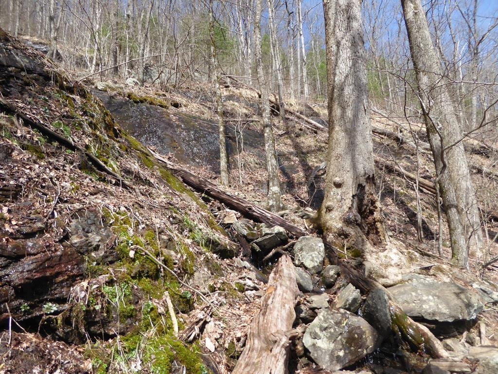 The A.T. in Georgia is known for rocky terrain.