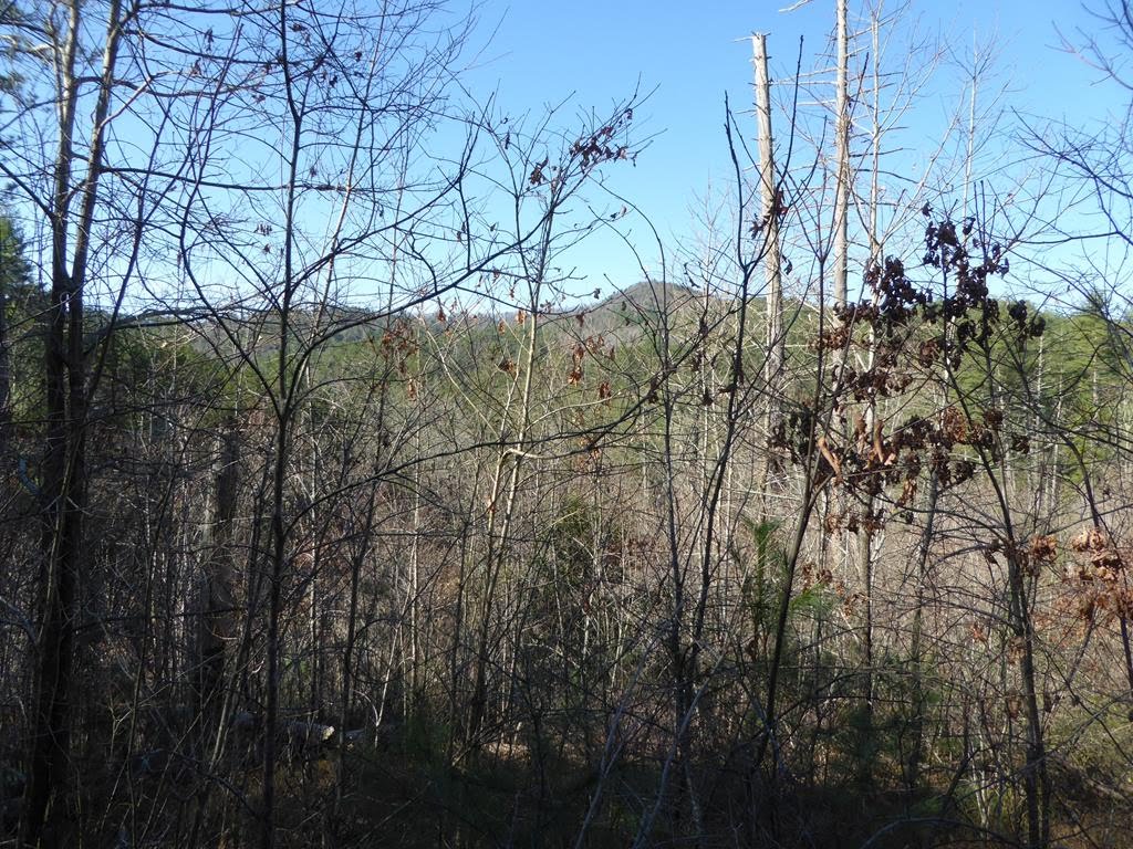 Mountain views