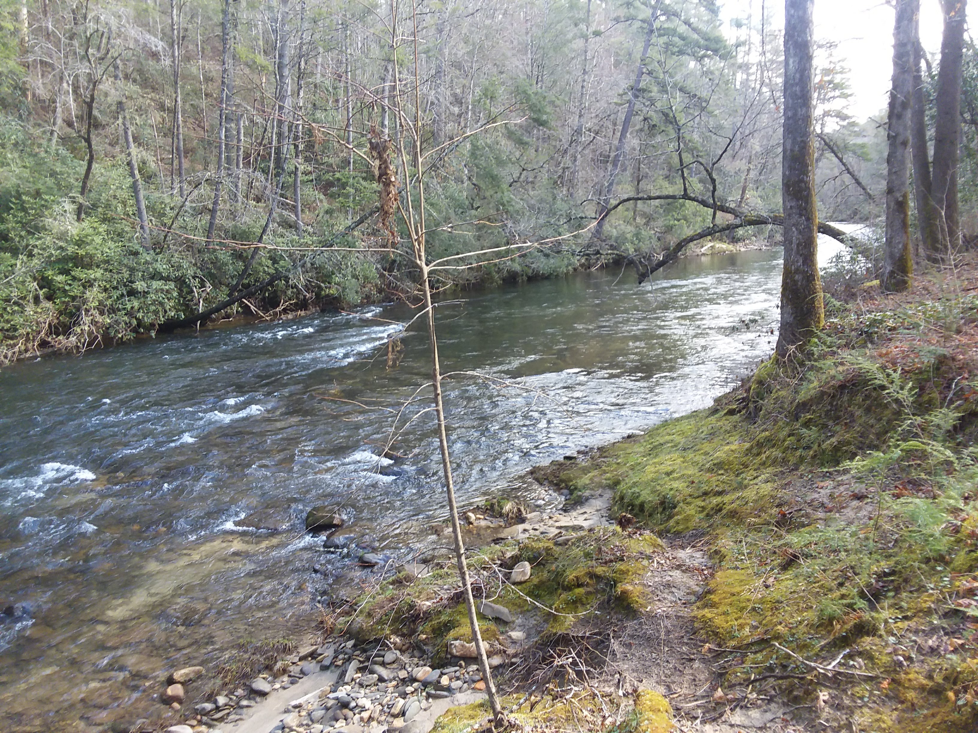 An early view of the Chattooga River.
