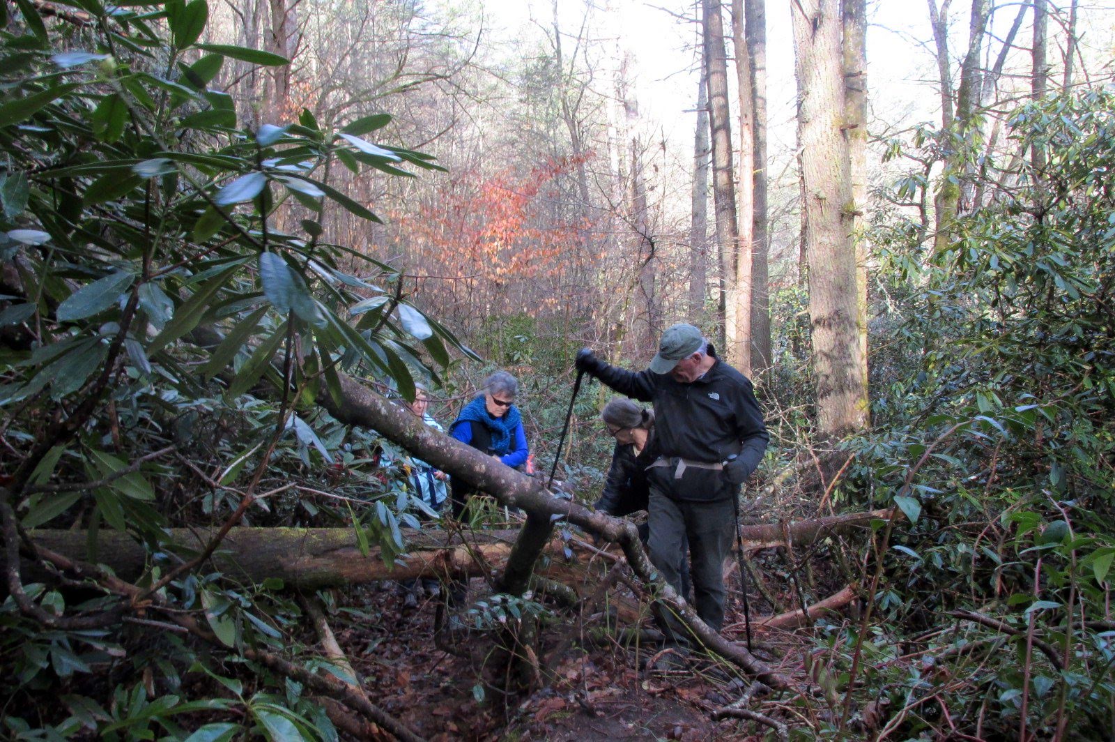 The lower trail had seveal difficult areas where trees were down across the trail.
