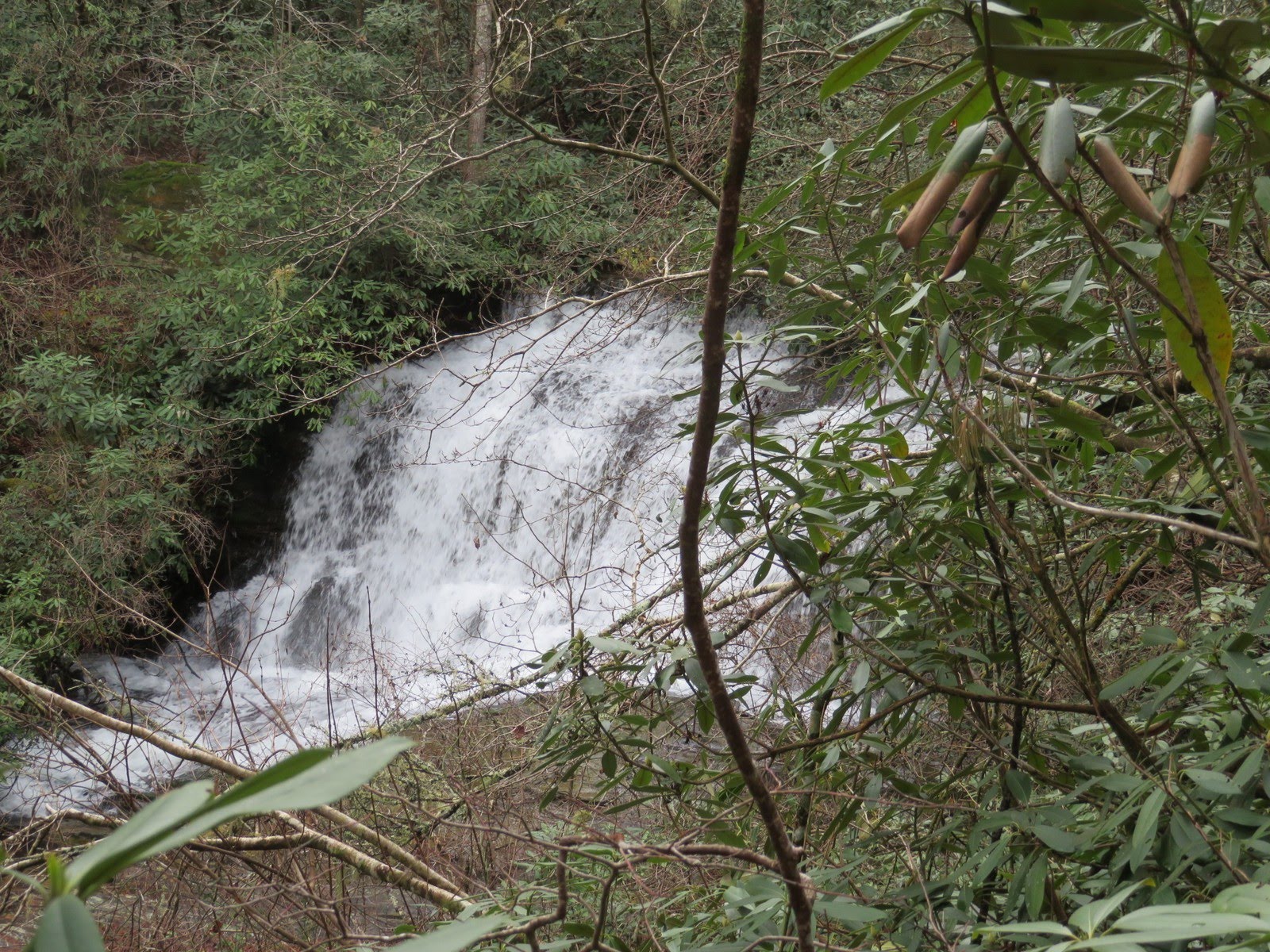 Beautiful Licklog Falls